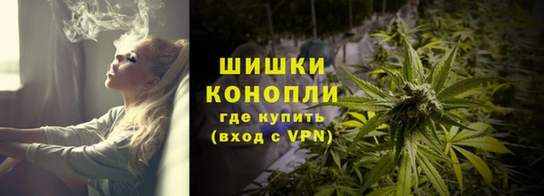 ГАЛЛЮЦИНОГЕННЫЕ ГРИБЫ Баксан