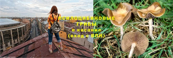 трава Балабаново