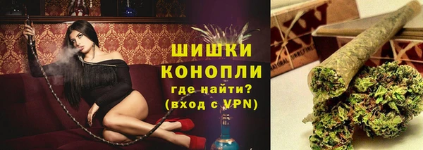 ГАЛЛЮЦИНОГЕННЫЕ ГРИБЫ Баксан